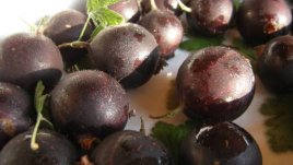 Сироп от цариградско грозде
