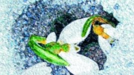 “Каменно вълшебство” – изложба от мозайки