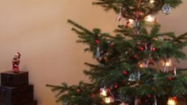 Коледарите – една отмираща традиция