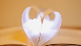 Мисъл на деня