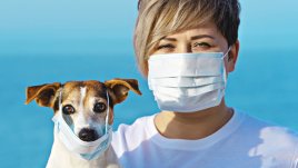 Важни въпроси, свързани с COVID-19 и домашните любимци