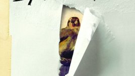 Дрога, убийства и измами, вярата в красивото и една нежна, самотна любов