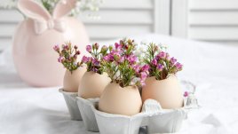 6 неочаквани употреби на черупките от яйца