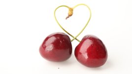 Мисъл на деня