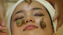 Терапия с охлюви подмладява кожата на лицето