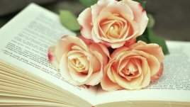 Мисъл на деня за... решенията