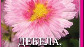 “Дебела, безпарична и самотна - Никога вече!” от Виктория Моран