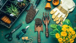 Унищожете плевелите в градината с натурални средства