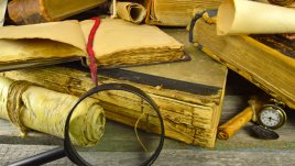 Мисъл на деня