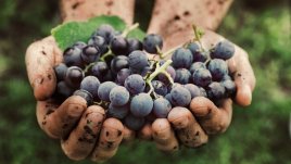 3 важни поверия за празника Преображение