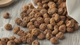 Земен бадем (чуфа) и неговите ползи за здравето 