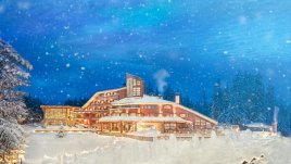 Живот в Уелнес – как да постигнем хармония на ум, дух и тяло