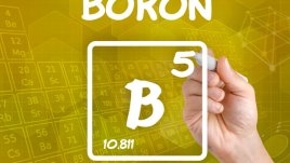 Бор – микроминералът, който ни пази здрави