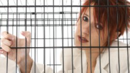 Справяте ли се с баланса между работата и семейството?