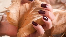 Есенни акценти в маникюра (галерия) 