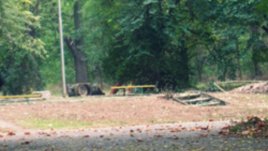 Прекрасните нюанси на есента