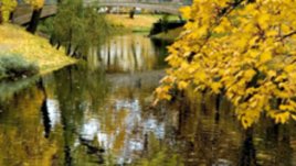 Най-сладки са плодовете на есента