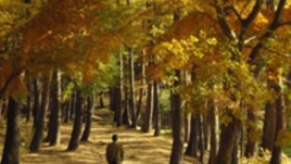 Единствен мой