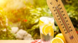 Методи за естествено противодействие на жегата