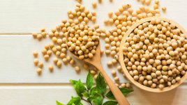 Потенциални здравословни рискове от прекаляването със соята 