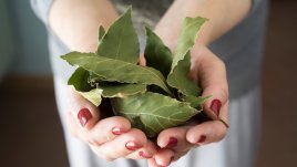 Страхотните ползи за здравето от дафиновия лист