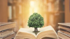 6 китайски поговорки за трудните моменти