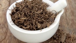 6 ползи за здравето от черния кохош