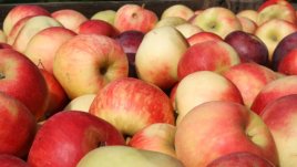 Сезонни маски за лице