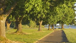 Любов вятърът шепти