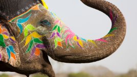 Индийска мъдрост на деня