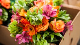 Символно значение на едни от най-красивите цветя