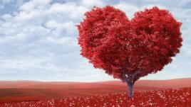 Мисъл на деня за...  любовта