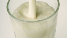 Половината от млякото в България отговаря на европейските изисквания