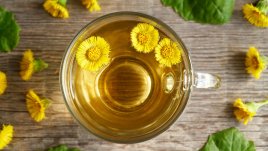 Пролетен детокс с билки – кои можете да използвате?