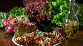 Слабите страни на вегетарианството