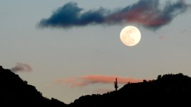 Лунна диета – февруари 2014 