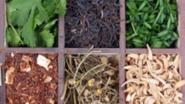 Подправки на терасата – лесна работа