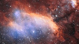 Седмичен хороскоп за 27 юли – 2 август