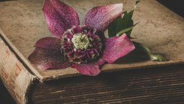 Мисъл на деня за съдбата