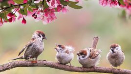 4 зодии, за които май ще е прекрасен