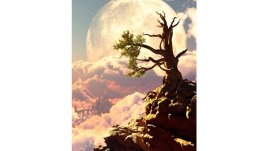 Притча за нещастното дърво