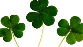 Мисъл на деня за... късмета