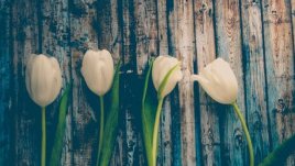 Мисъл на деня за... търпението