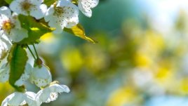 Мисъл на деня за... дните