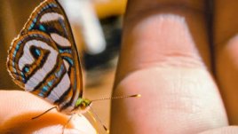 Мисъл на деня за... живота