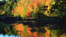 Есенна сълза