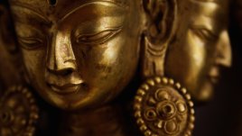 Мисъл на деня