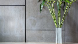 Бамбук на щастието