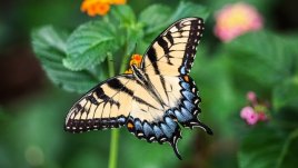 Мисъл на деня за промяната вътре в нас