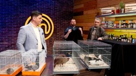 Морски въшки с козунак и живи птици в MasterChef 